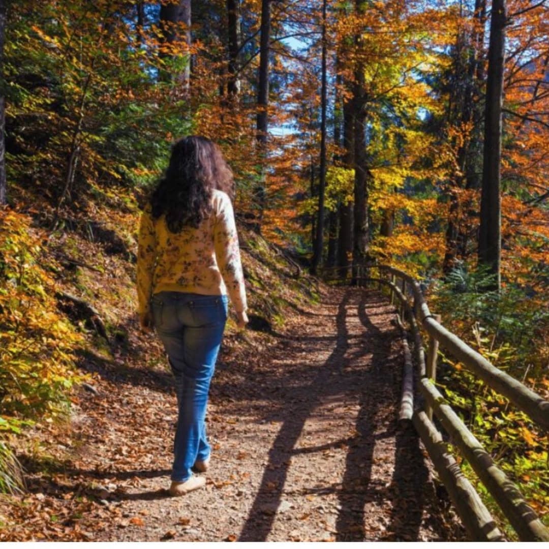 A woman walking alone along a leaf-covered forest path on a bright autumn day.